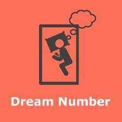 Shillong Night Teer Dream Numbers